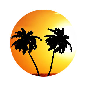 Reizen